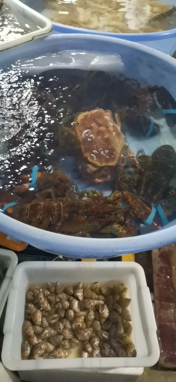 北海潿洲島遊玩全攻略:只看這篇文章就足夠了 北海潿洲島遊玩全攻略:只看這篇文章就足夠了