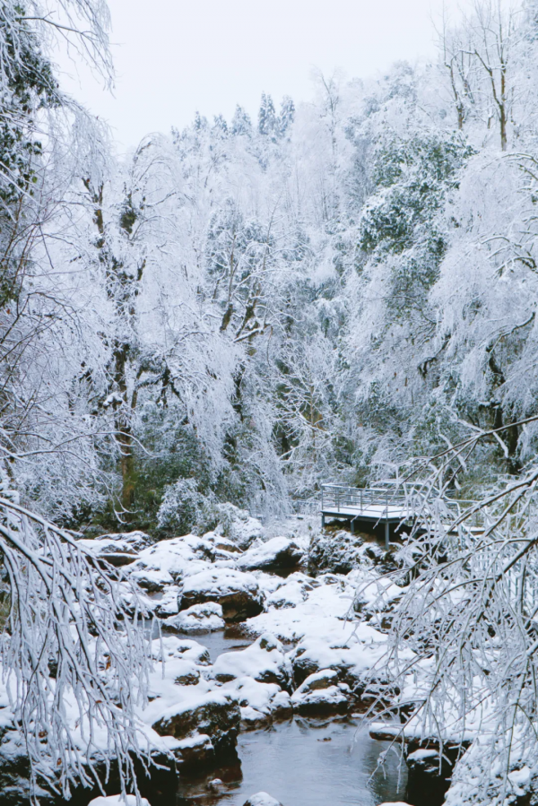 元旦最強攻略出爐！小眾美景、愜意度假、全家出遊都有，拿走去耍