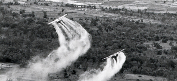 1965年，美軍在越南投下7000多萬升“落葉劑”，影響有多大？