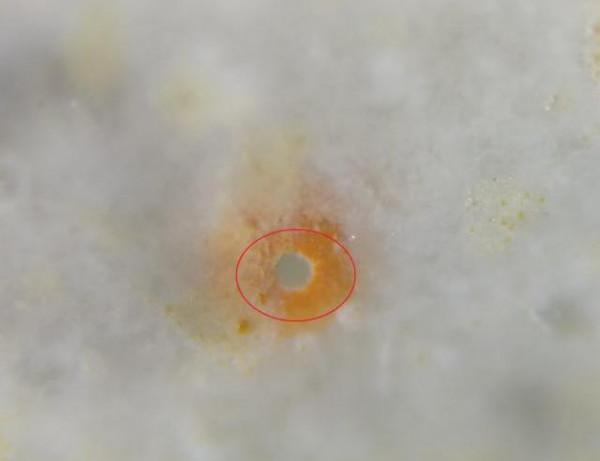 古陶瓷鑑賞術語圖文解析（二）