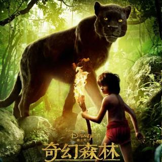 《奇幻森林》裡一群動物是如何保護一個人類男孩的