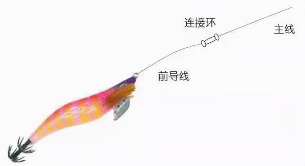 什麼季節釣魷魚?釣魷魚入門裝備有哪些? 什麼季節釣魷魚?釣魷魚入門裝備有哪些?