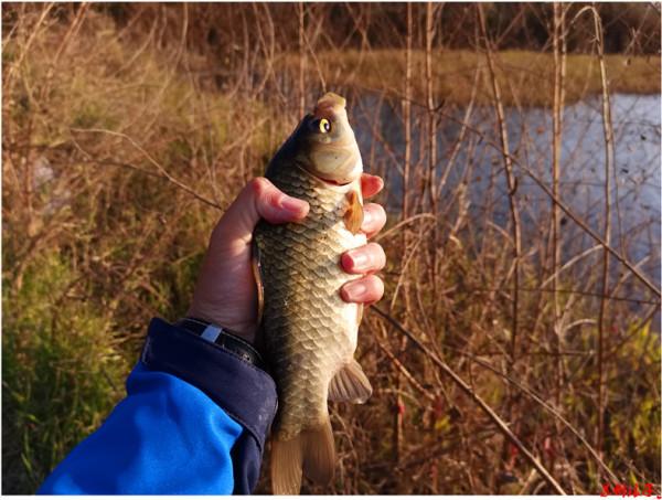 再玩傳統,感覺不再漁獲善可 再玩傳統,感覺不再漁獲善可