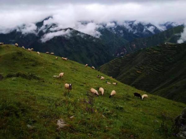 藏地掠影之夢幻秘境，醉美藏區