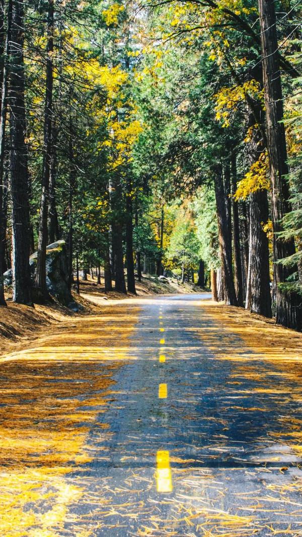 特別漂亮的路風景分享