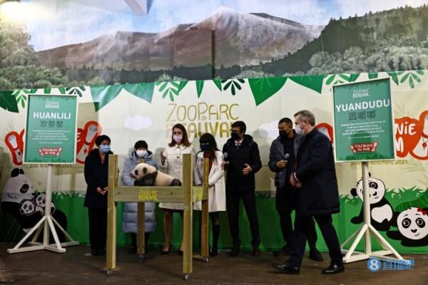 “圓嘟嘟、歡黎黎”！姆巴佩、張家齊出席中國旅法大熊貓命名儀式