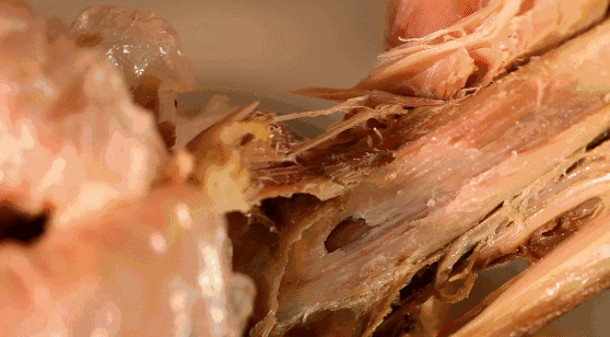 李子柒“隱居”地公開，這座比成都還安逸的城市，究竟是什麼地方