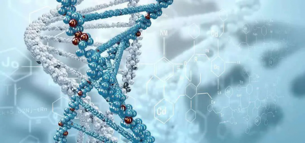 水汙染對人體健康影響這麼大,你還不裝管道直飲水嗎? 水汙染對人體健康影響這麼大,你還不裝管道直飲水嗎?