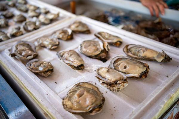 南沙十九湧漁人碼頭，週末好去處，海鮮和特產是否真便宜呢？