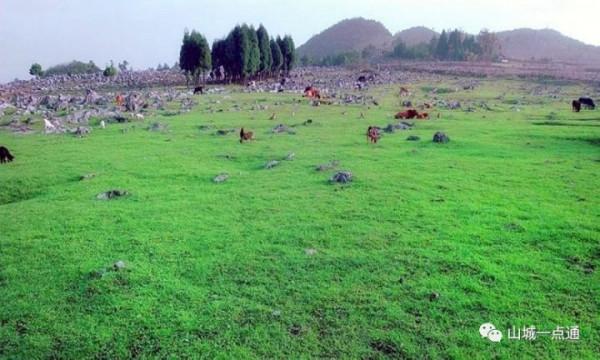 重慶石柱土家族自治縣好玩的地方推薦 重慶石柱土家族自治縣好玩的地方推薦