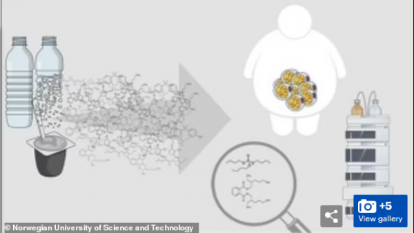 你的洗髮水瓶子是如何讓你變胖的？