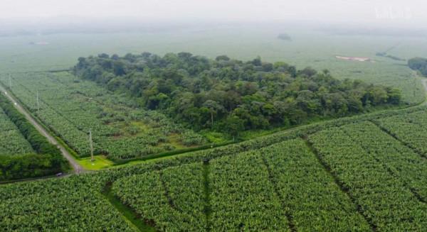 電影成真?再這麼下去,人類被自然災難吞噬就要成為現實 電影成真?再這麼下去,人類被自然災難吞噬就要成為現實
