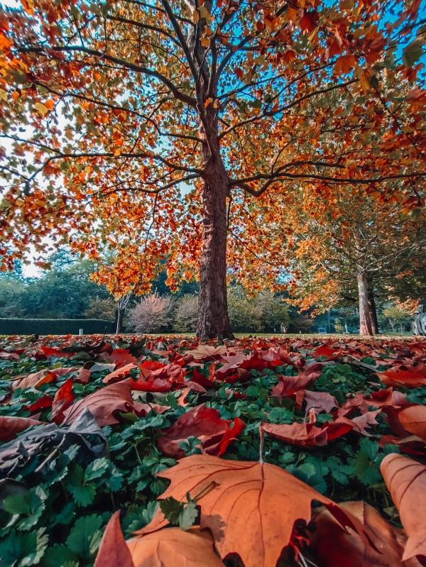 Redmi Note 11 Pro+節目的攝影作品