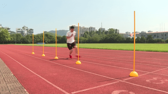 浙江小夥鈄李烽火了,被海軍航空大學和北大共同錄取,高考多少分 浙江小夥鈄李烽火了,被海軍航空大學和北大共同錄取,高考多少分