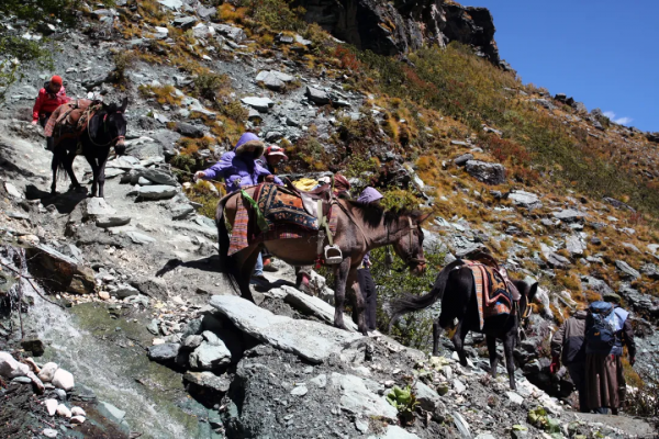 川西環線之旅 - 稻城三神山，世界級的雪山