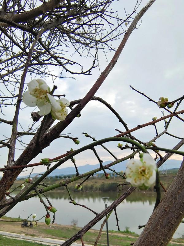 朋友圈2021年第31期