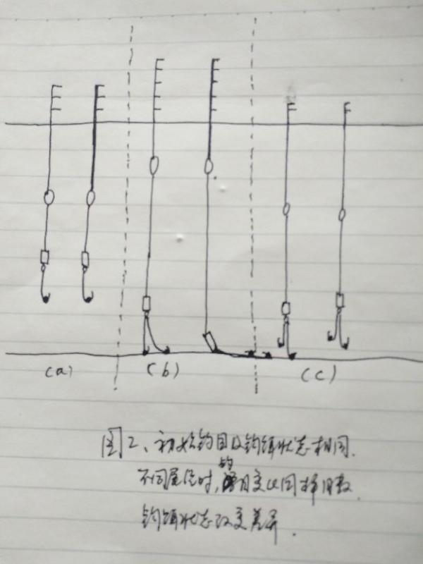 同樣鉤餌配不同漂尾徑，捋漂改變同樣釣目時，鉤餌狀態改變差異