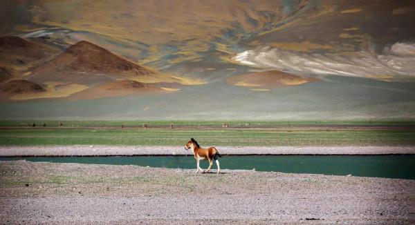 魅力西藏，阿里迴響（待續）