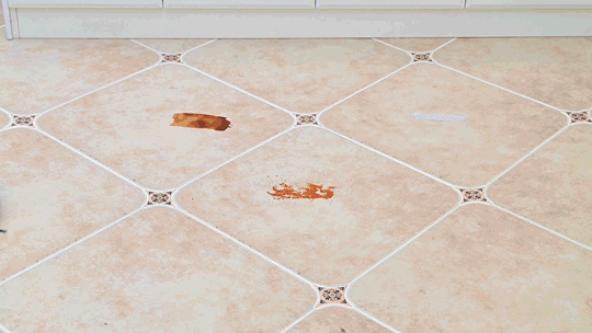 雲鯨、石頭、科沃斯?帶自清潔功能的掃拖一體機,深度對比幫你選 雲鯨、石頭、科沃斯?帶自清潔功能的掃拖一體機,深度對比幫你選