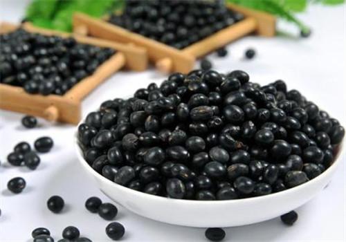 古法食療方：三九天調養，吃好你的老肺病