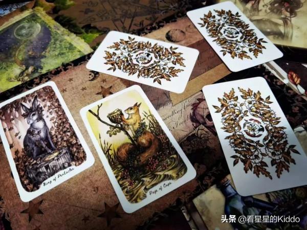 Kiddoの星運週記丨2022&period;2&period;7~2&period;13