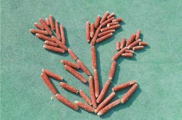 促和諧 展風采——愛彌兒幼兒園教職工趣味運動會