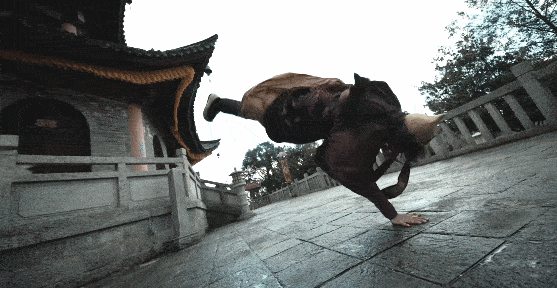 國產劇，再這麼爛下去真完了