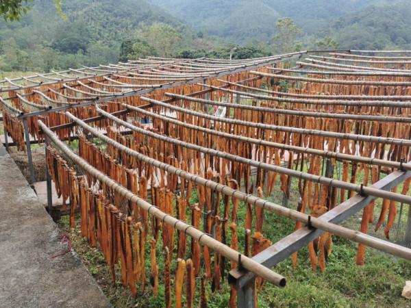 橫河臘味又飄香 直播助力土特產“變現”