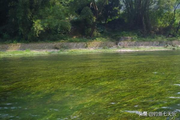 肥水釣不到大魚?其實是你方法不對,記住這幾點,大魚跑不掉 肥水釣不到大魚?其實是你方法不對,記住這幾點,大魚跑不掉