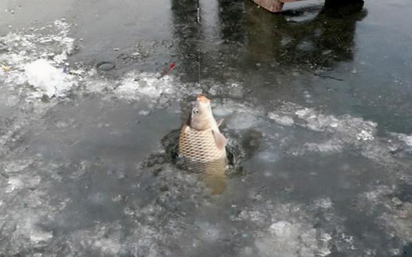 戶外野釣，遇到這幾種風，壓根就釣不到魚