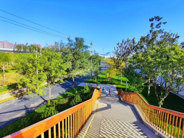 好風景就在家門口！石景山眾多高顏值公園連獲國際大獎