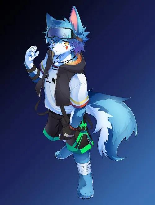 動漫福瑞獸人圖集1