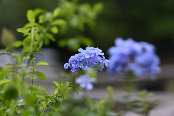 事實上,有些女人命苦,可能是自找的 事實上,有些女人命苦,可能是自找的