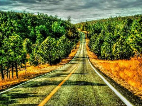 特別漂亮的路風景分享