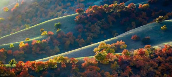 超出你想象的空中草原