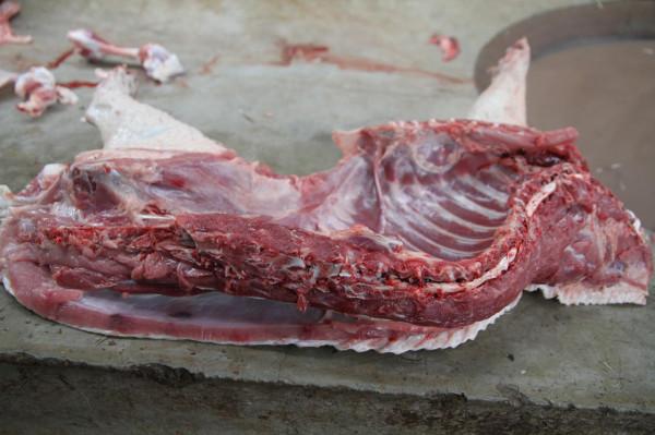 為什麼記性越來越差了?營養師:這4種有助大腦健康的食物要多吃 為什麼記性越來越差了?營養師:這4種有助大腦健康的食物要多吃