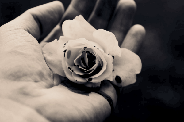 城市外來高學歷高薪女性，可能是目前結婚最困難的人群