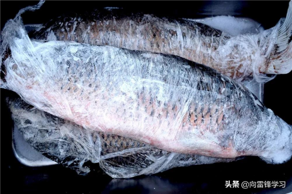 年貨保鮮！請開啟這個連隊的&OpenCurlyDoubleQuote;天然冰箱&rdquo;