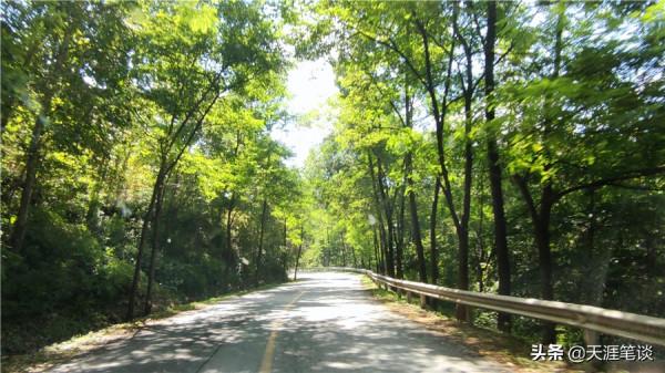 回首往事知多少，翻天覆地慨而慷，2021東北自駕總結