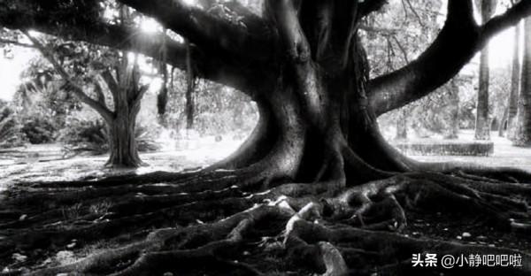 你不知道的20條國家冷知識——“奇妙的”馬達加斯加