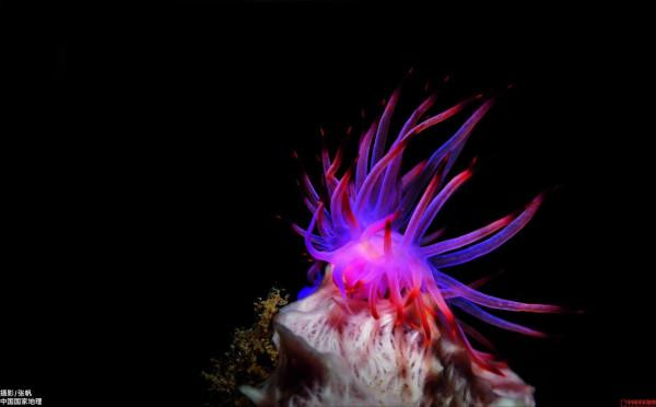 《國家地理》帶你領略祖國風光