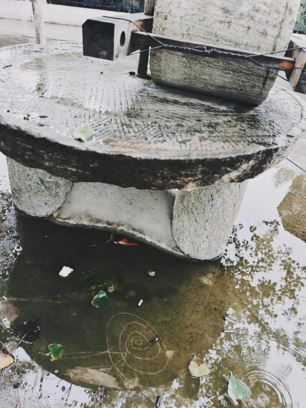 32歲,終究活成了最討厭的那種人,也明白了,冷暖自知,悲喜自渡 32歲,終究活成了最討厭的那種人,也明白了,冷暖自知,悲喜自渡