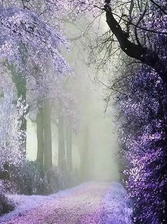 人間仙境美極了