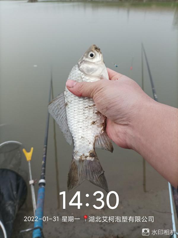 新年新氣象，虎年首釣完美爆護