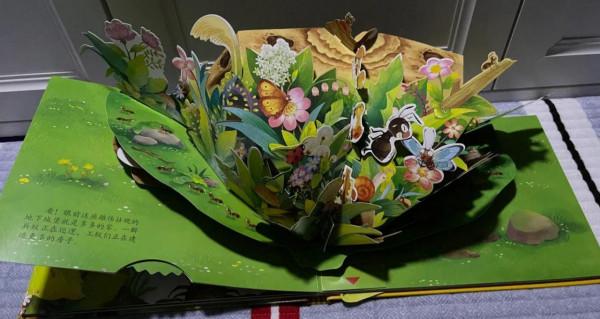 寶寶入門看什麼書