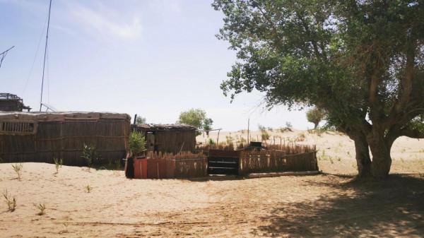 中國唯一的原始部落克里雅人，他們近況如何（青新甘13、14、15）