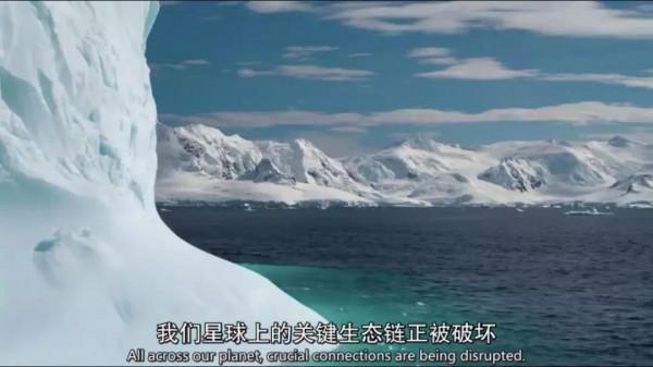 地球正在消失，星球不僅是我們人類，也是所有生命的星球