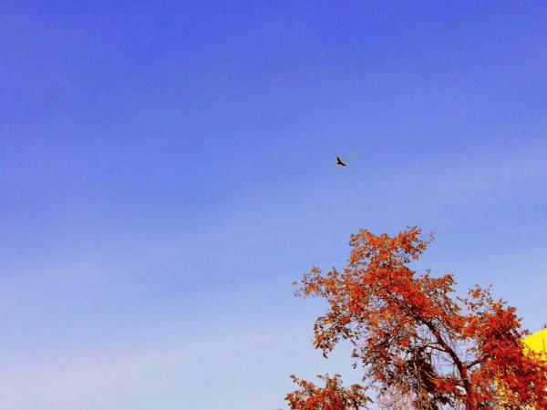 那些一輩子都寫不出來的句子，值得收藏