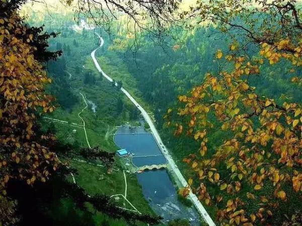 秋韻•和政松鳴巖 一幅大寫意的水彩畫