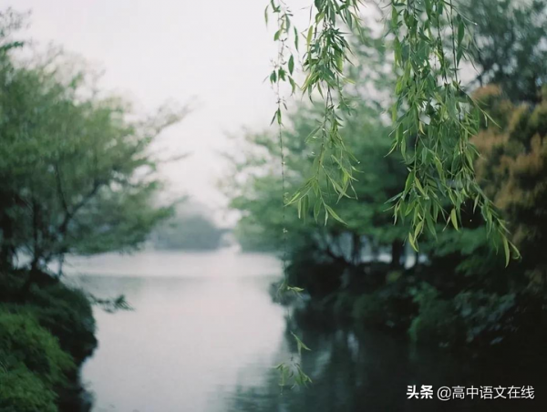 最美古詩詞|讀完這幾首詩,一回頭,便遇見美好 最美古詩詞|讀完這幾首詩,一回頭,便遇見美好